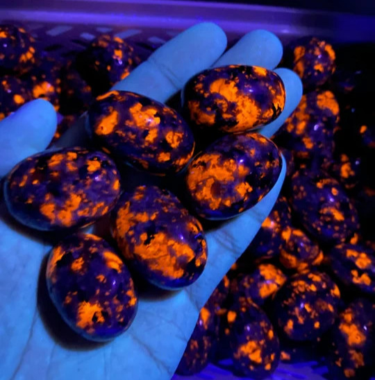 3Pcs Natural Yooperlite Tumble Flame Pocket Stone Polished Crystal Minerals