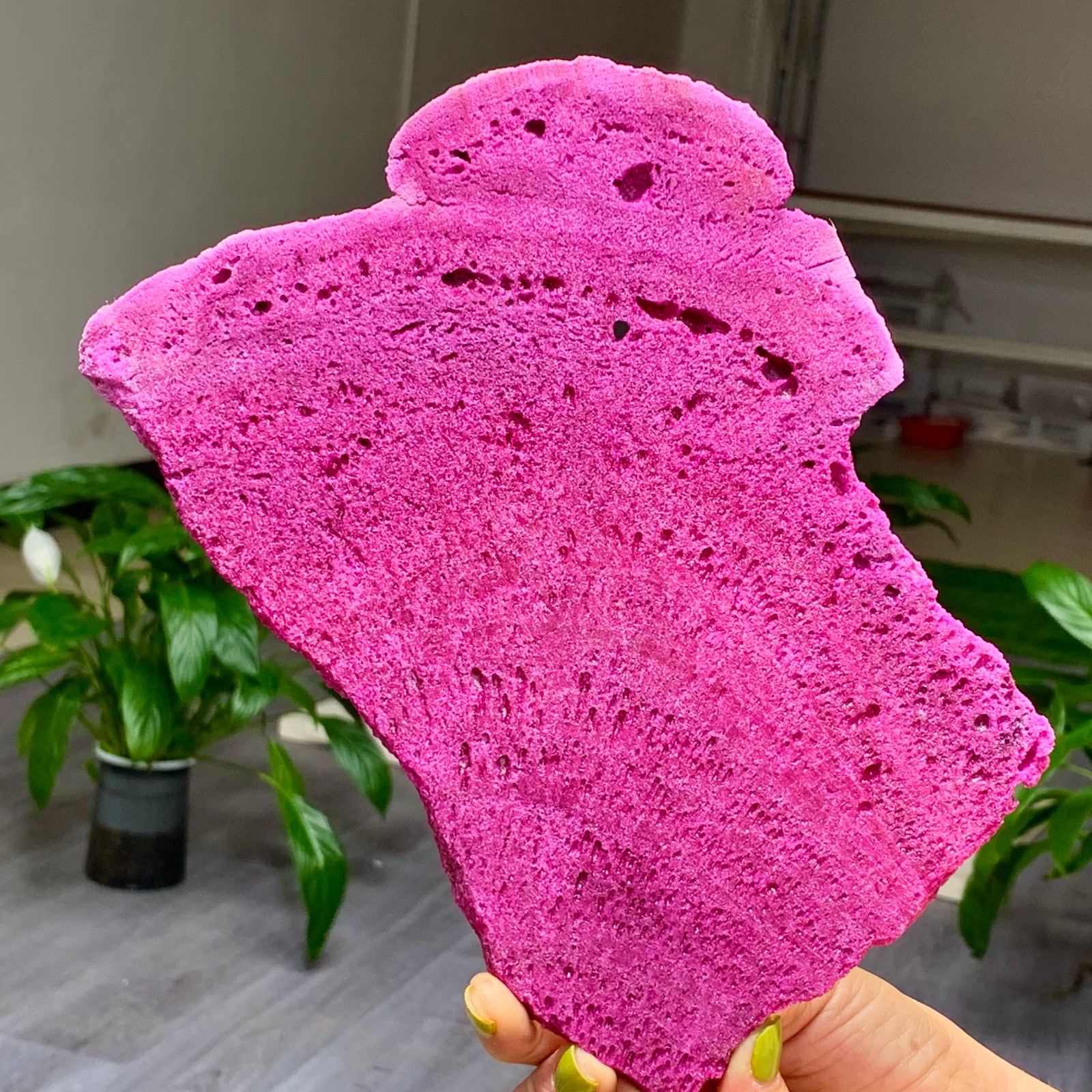 1.69LB Natural Rough Red Corundum Phlogo Pit Mineral Spirits Ruby Raw Gemstone
