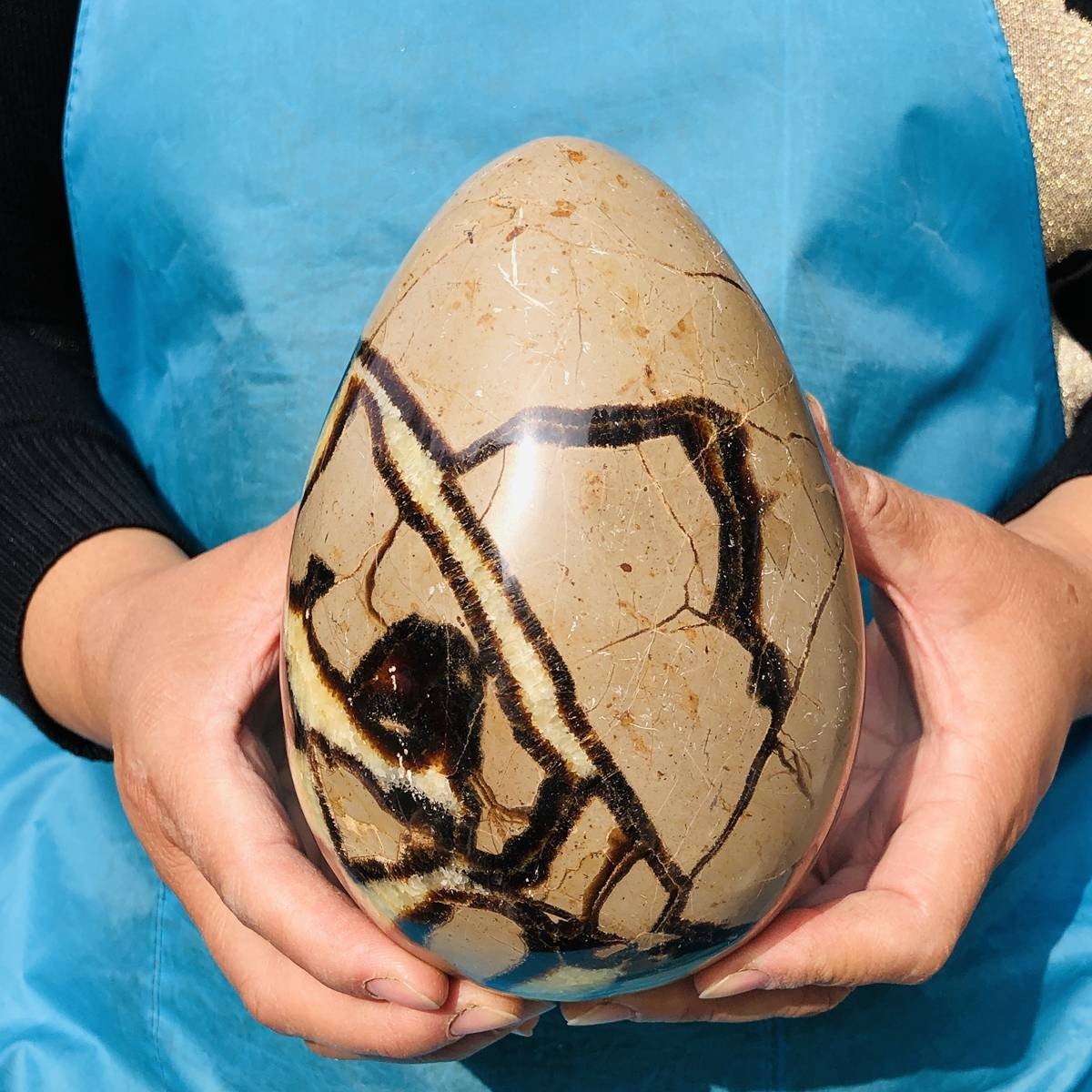 5.06LB Natural Turtle Back Stone Egg Shape Dragon Crystal Crack Healing
