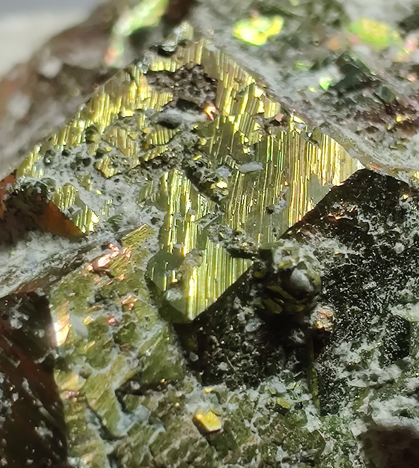 Iridescent Chalcopyrite crystal specimen. Klein Quarry, Iowa. 4 cm.