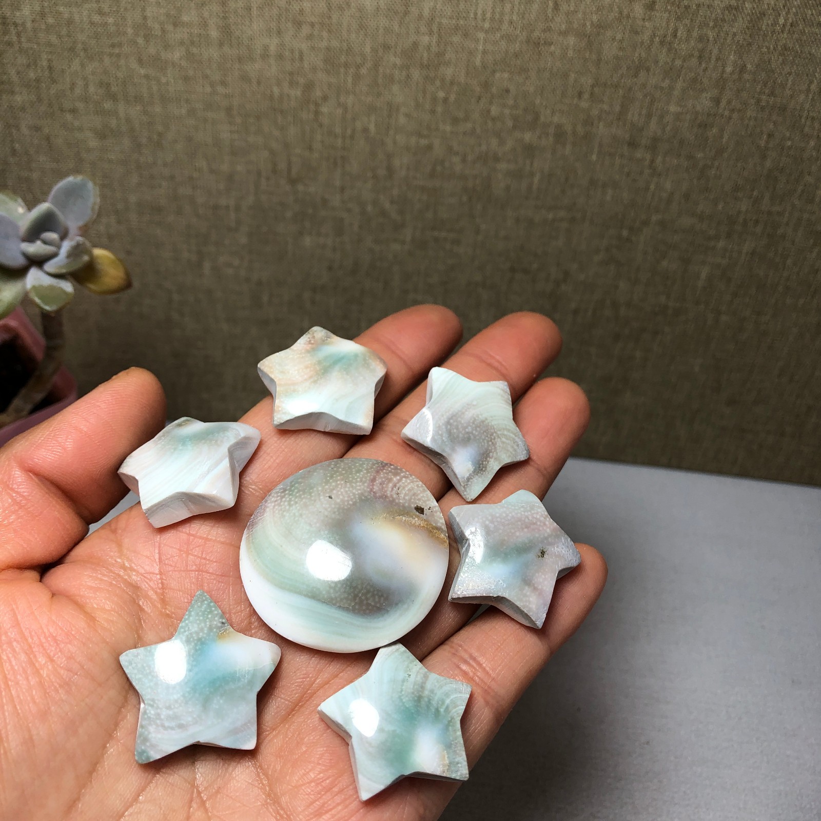 7pcs Rare sun shell Reiki Shiva Eye ocean semi-precious stone 57g A2762
