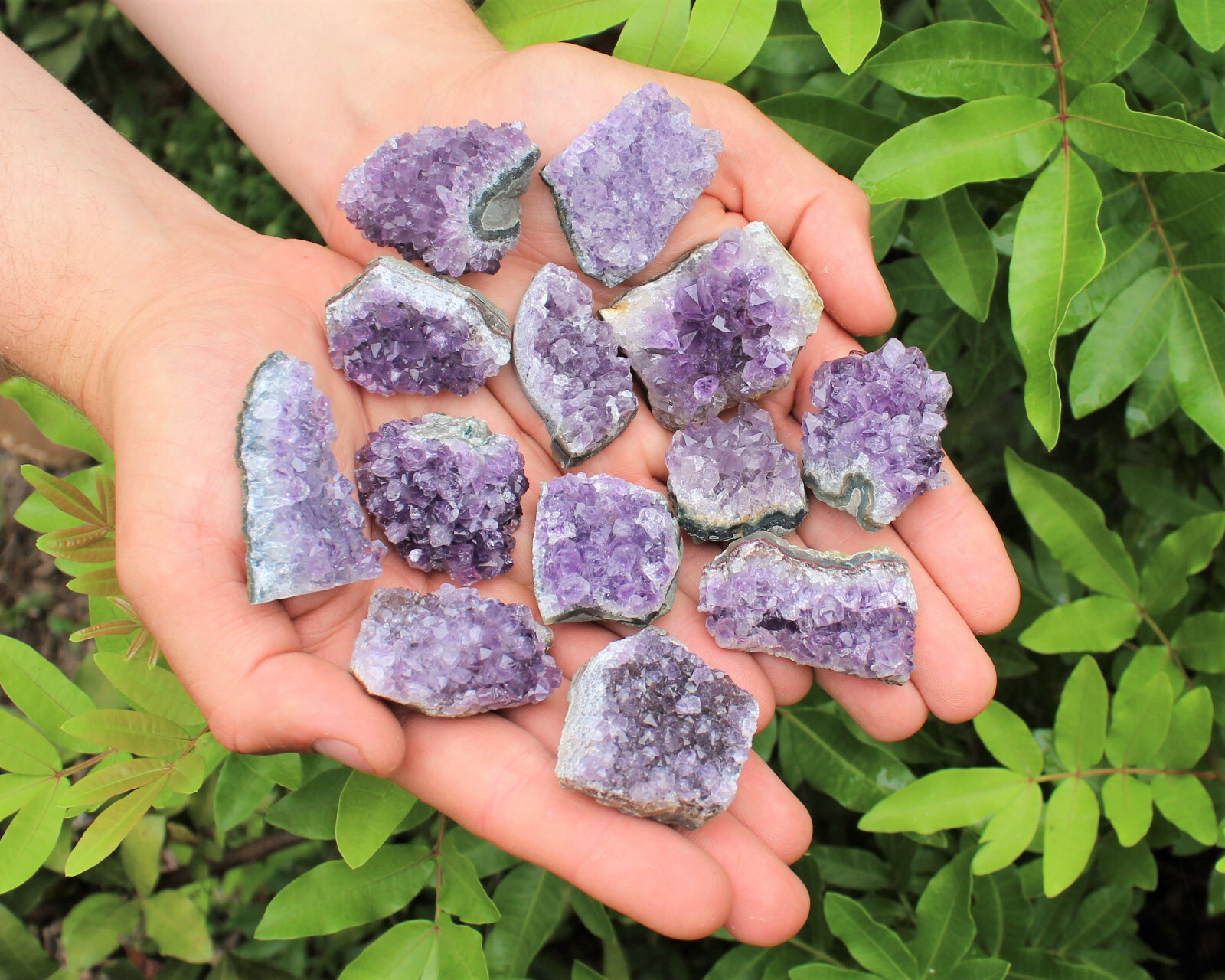 Wholesale Bulk Natural Amethyst Crystal Clusters: 6-9 Piece Lot (Quartz Geode)