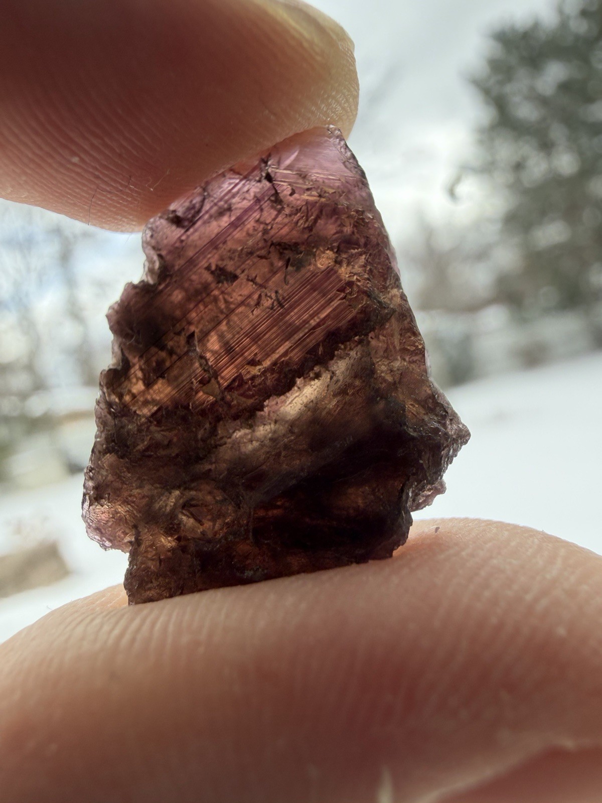 Gemmy Rare Axinite Crystal On Matrix, Skardu, Pakistan, 90Ct / 18grams