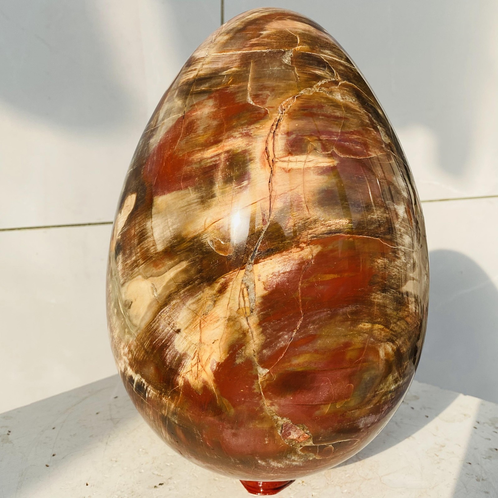 Natural Petrified Wood Egg Quartz Crystal Fossil Mineral 7760g