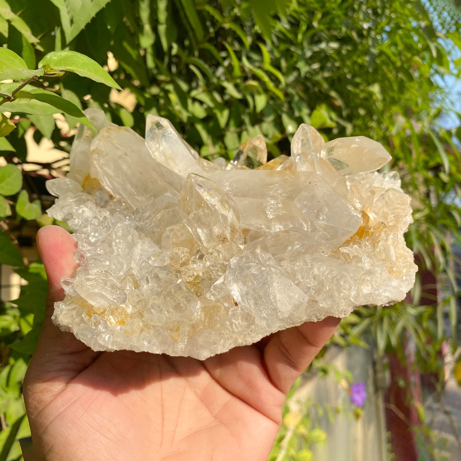 Samadhi Quartz Natural Himalayan Yellow Hue for Energy 1.54 lbs