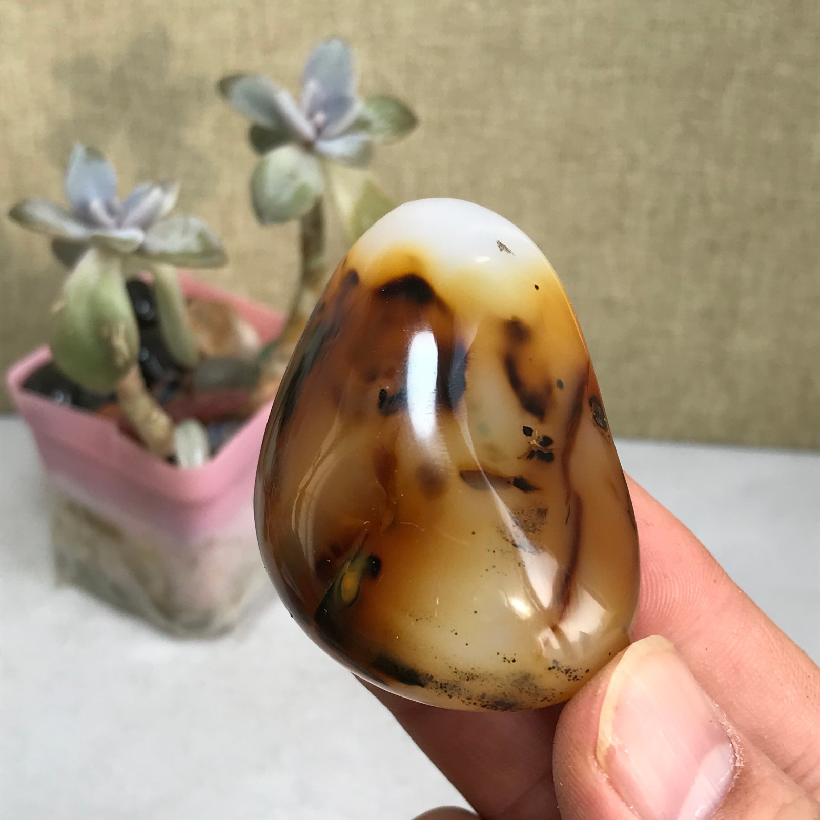 54-38-27mm Natural aquatic plants agate pretty Crystal specimens 79g A2379