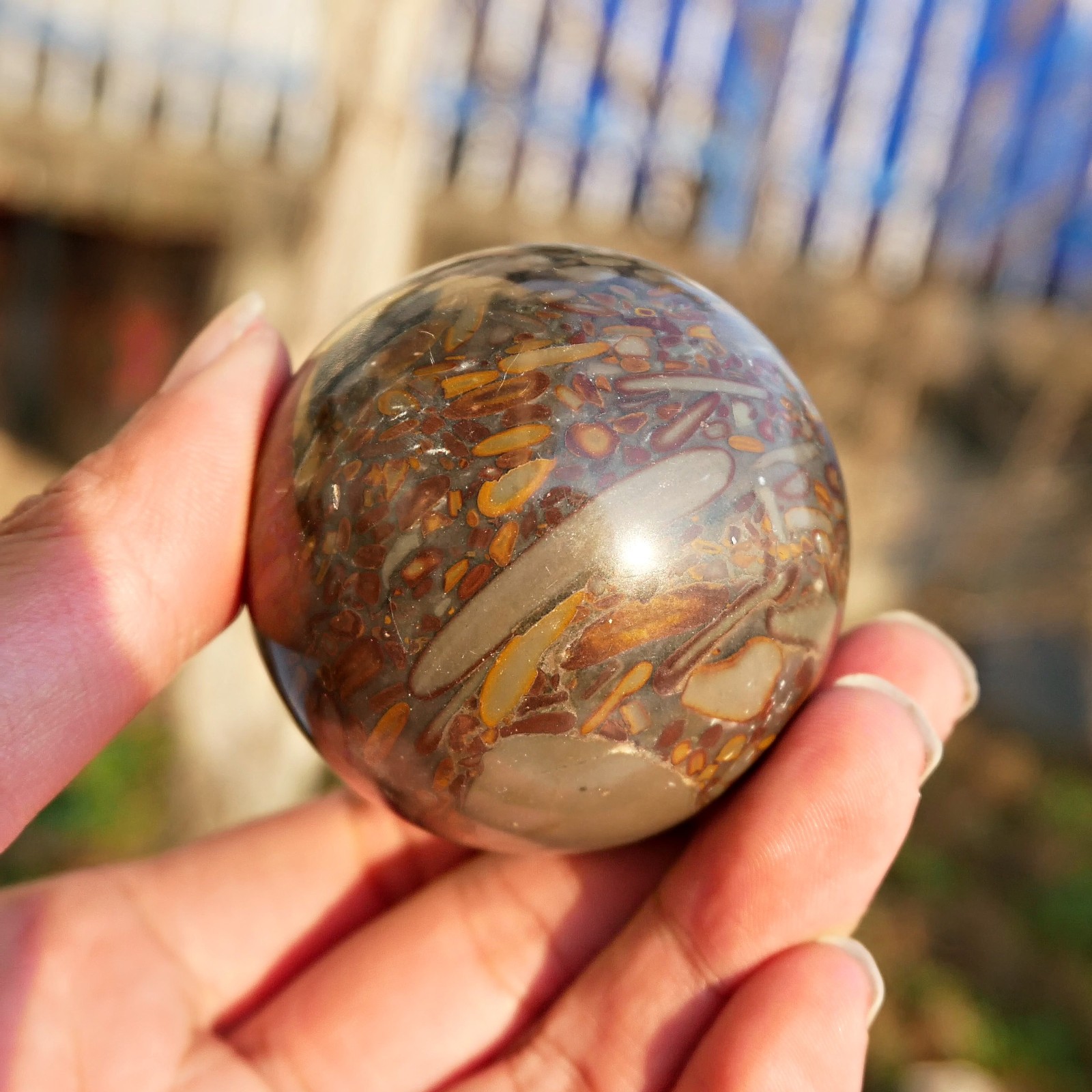 2″Limestone Sphere Crystal Ball Natural Sedimentary Stone Fossil Earth Grounding