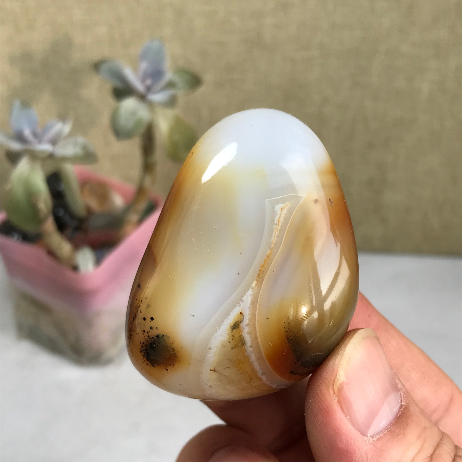 54-38-27mm Natural aquatic plants agate pretty Crystal specimens 79g A2379