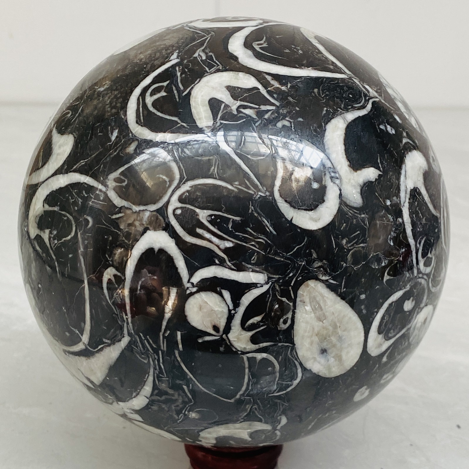 Natural Shell Jasper Thousand Eye Stone Crystal Polished Ball Healing (8.02LB)
