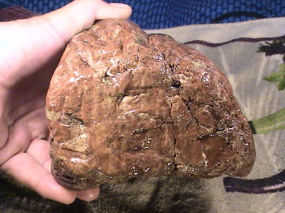 Chalcedony Red Jasper Agate #R444, Solid Rough Lapidary Specimen, 9 LBS, 5 OZ