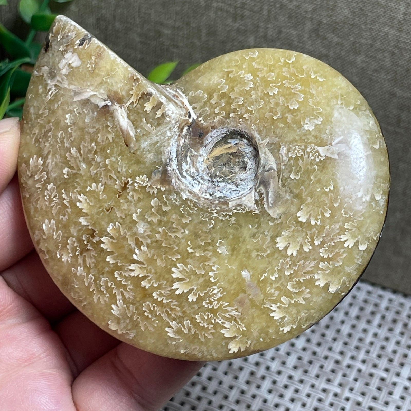 Madagascar Polishing Pretty Pattern Stone sculptor decoration 149g