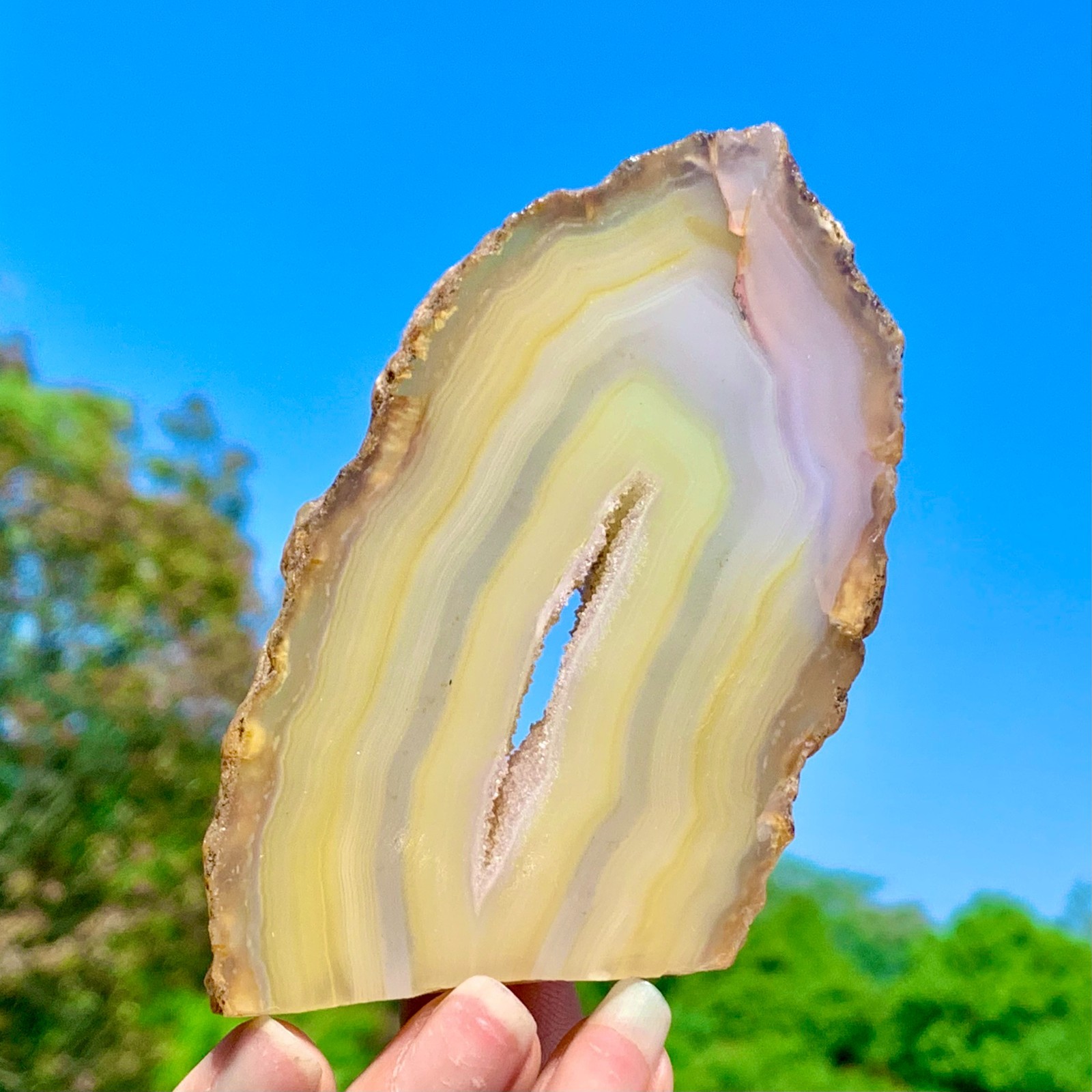 159G AAA Grade Natural Beautiful Yellow Agate Geode Druzy Slice Extra Large Gem
