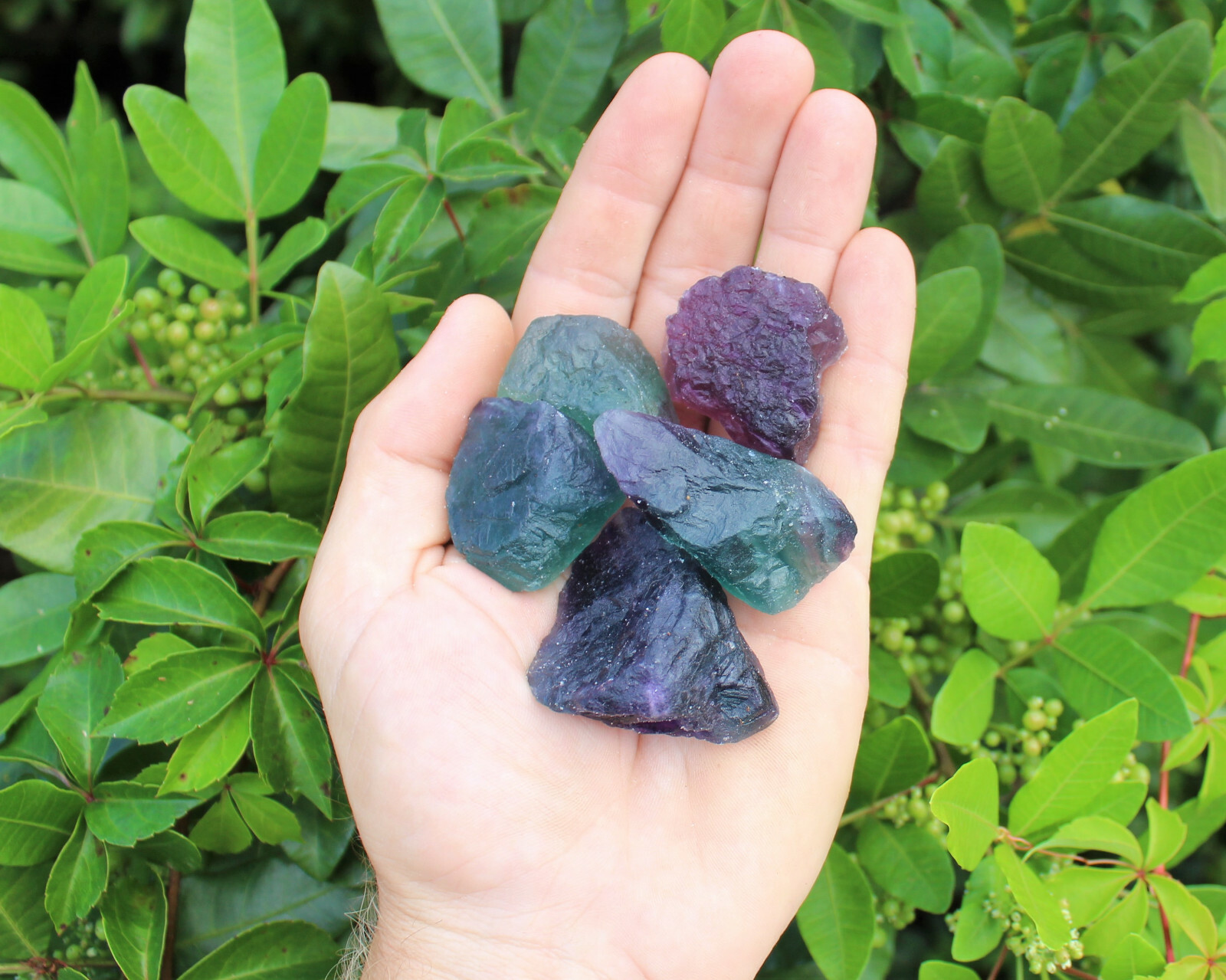 5 lb Bulk Lot Natural Rough Fluorite (Crystal Healing Raw Rock Mineral)