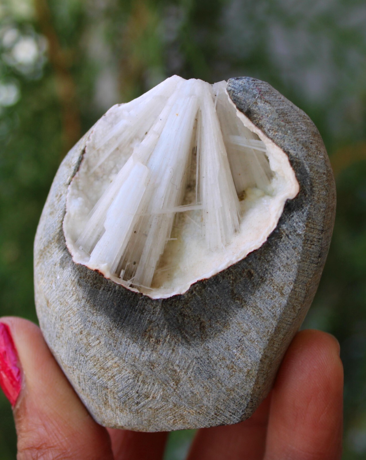 Scolecite Format In Geode Minerals Specimen ( 5×5 Cm’s) #M54