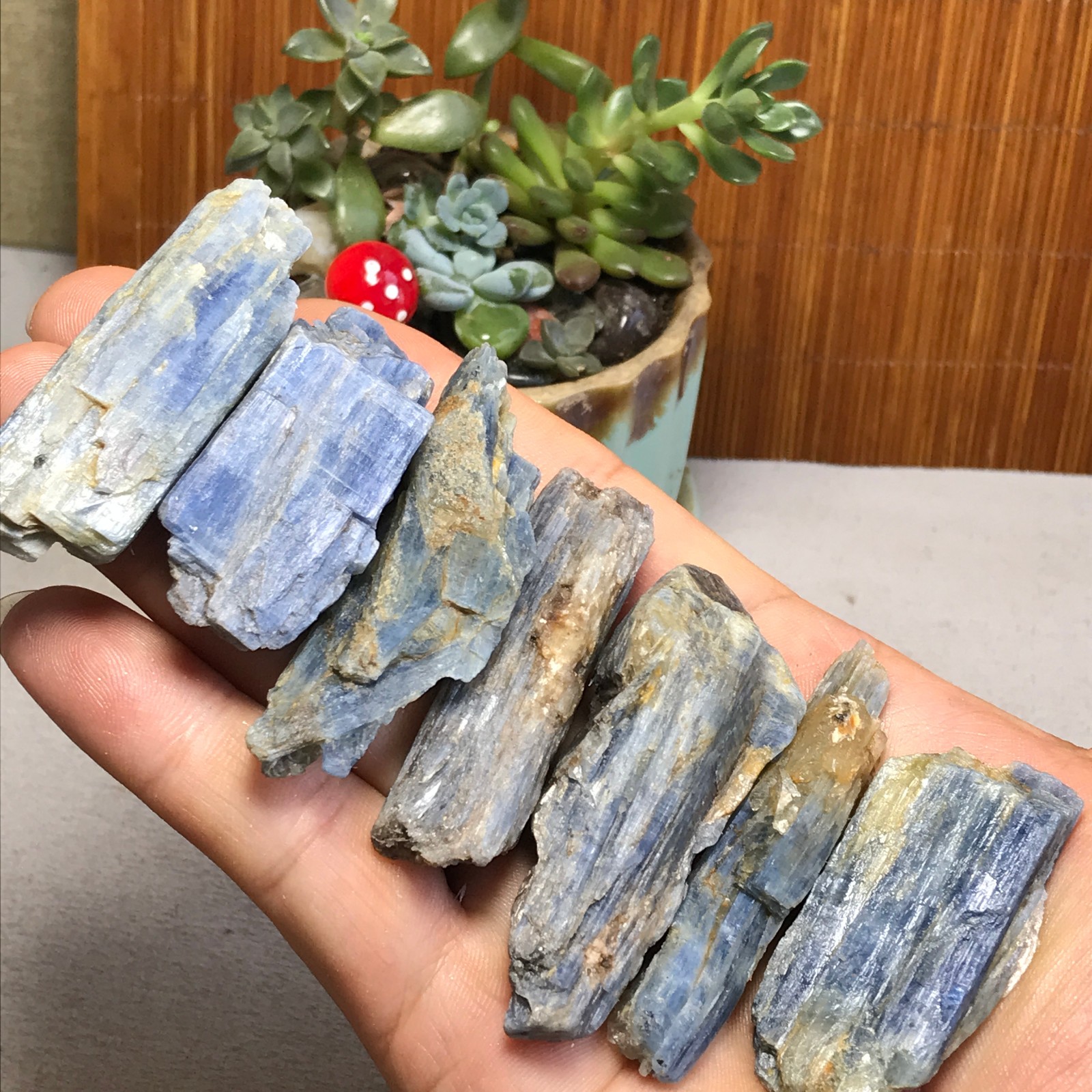 7Pcs NATURAL Blue Kyanite gemstone crystal rough mineral Specimen 175g A6924