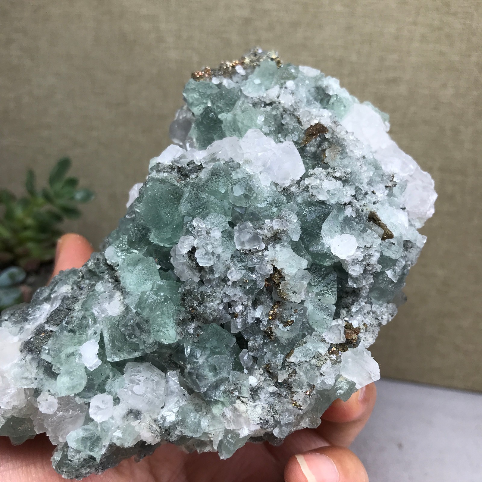 423g NATURAL Green Cubic FLUORITE paragenesis Crystal Cluster Specimen A4779