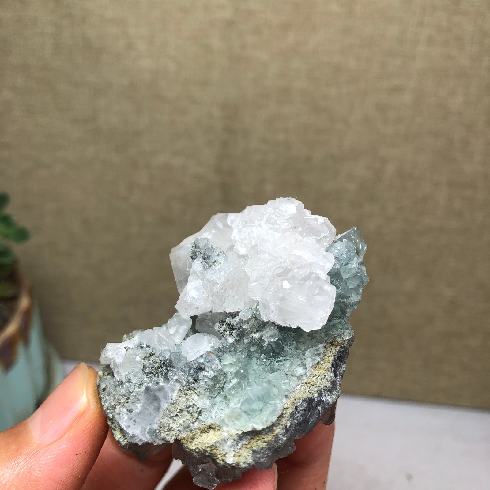 70g NATURAL Green Cubic FLUORITE Crystal Cluster Mineral Specimen A4740