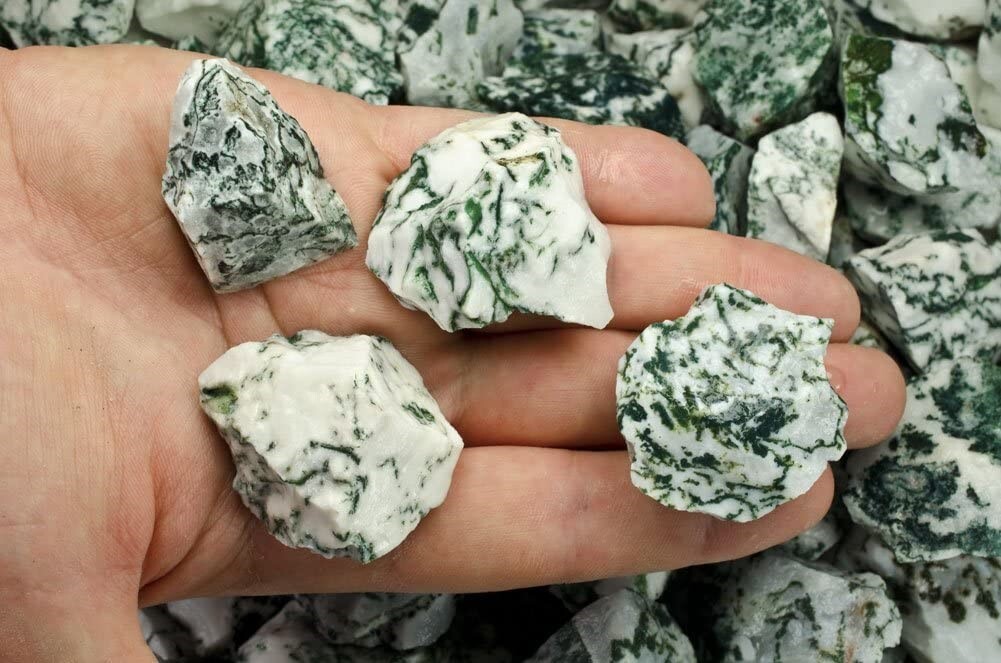 1/4 lb Tree Agate Rough Stones – Natural Crystal Mineral Rock Specimens Tumbling