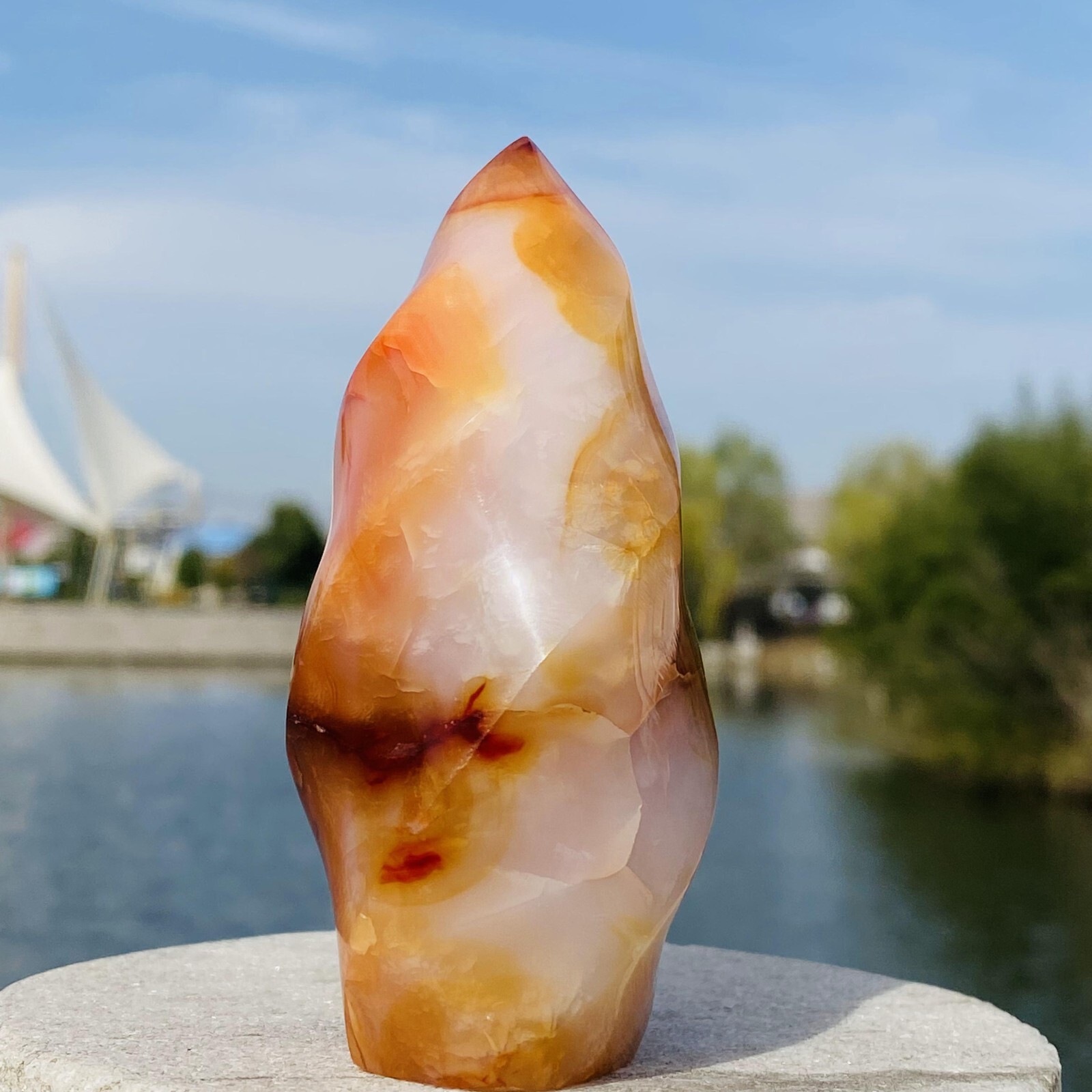 252G Natural Red Agate Flame spiral Quartz Crystal Mineral specimen healing