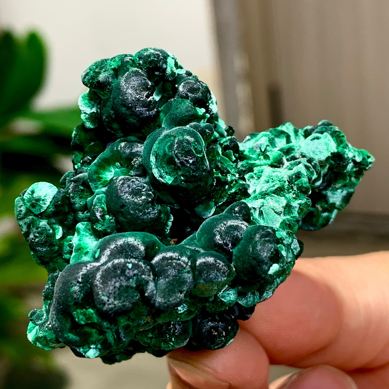 81G Natural glossy malachite cat eye transparent cluster rough mineral Sample
