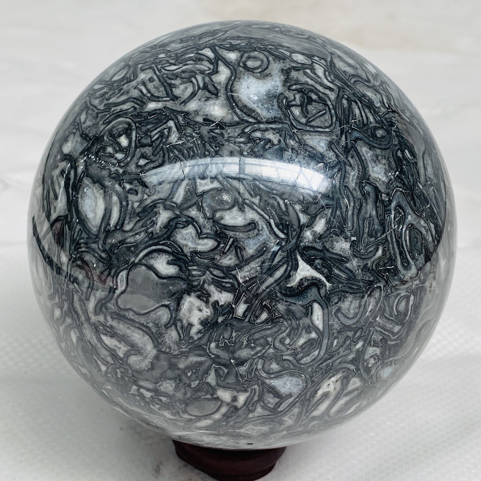Natural Picasso Jasper Sphere Black Gray Crystal Ball Healing 1940G (4.27LB)