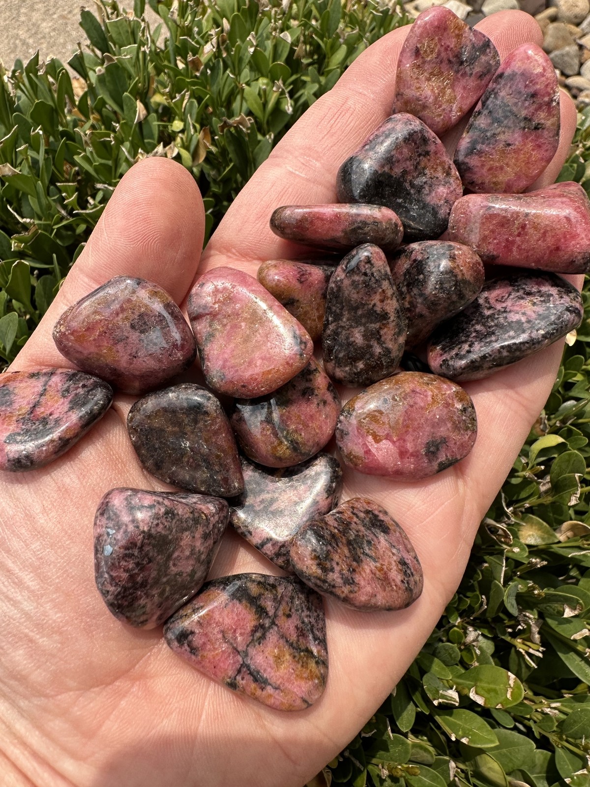 Rhodonite Tumbled Stone – Polished Natural Rhodonite Crystal from Mozambique