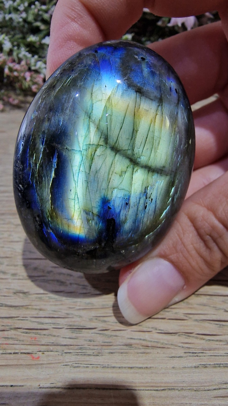 Labradorite Crystal Palmstone Multicoloured Flash 99g