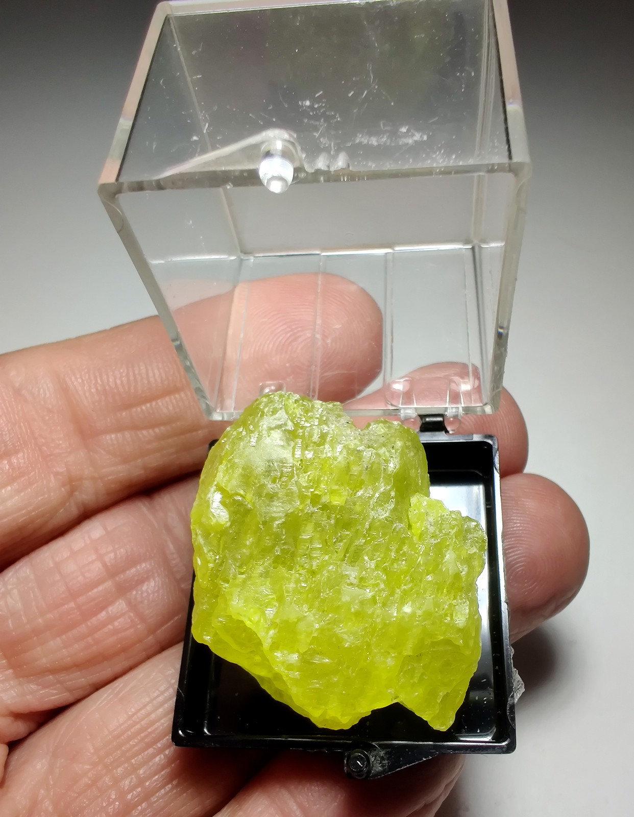 Sulfur crystal with wonderful color. Maybee Quarry, Michigan. 4 cm.
