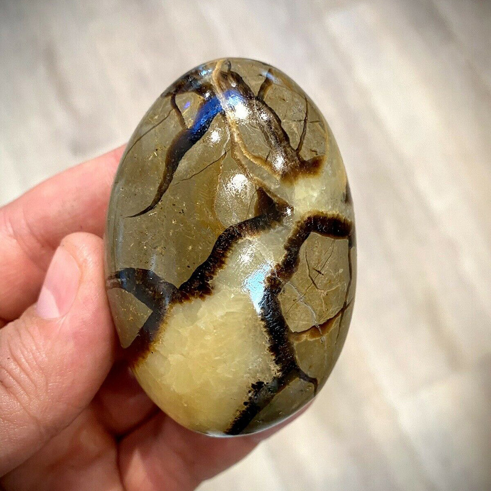 AAA Septarian Crystal Dragon Stone Healing Crystal Yoga Reiki Meditation Mineral