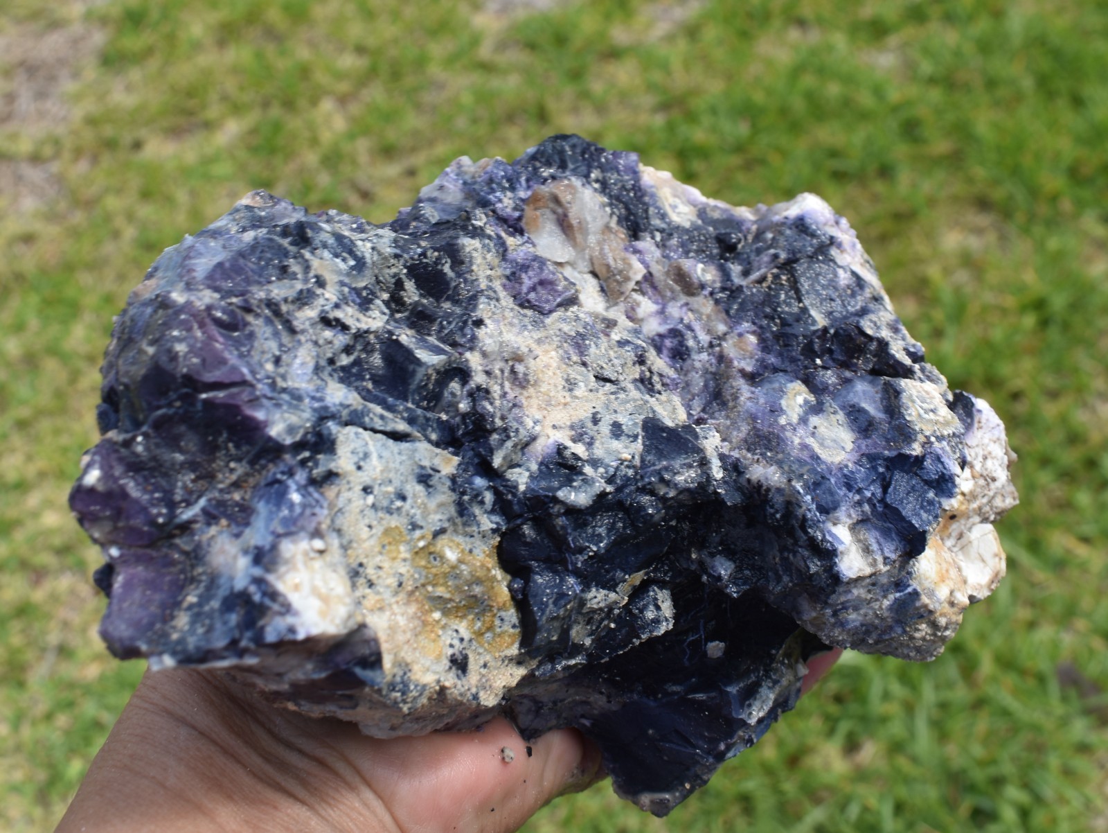 3.04 LB AAA Tiffany Stone (Utah) Rough lapidary Rock (GGP)