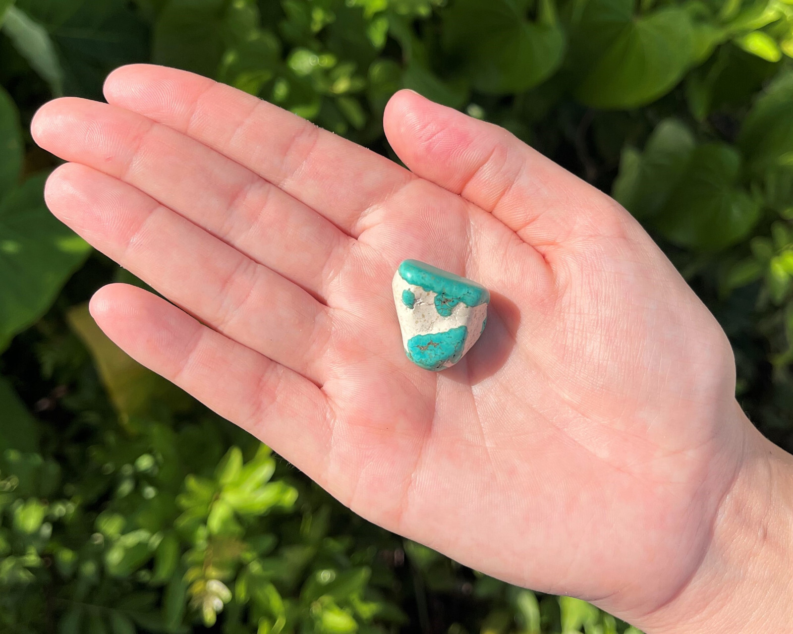 Turquoise Howlite Tumbled Stones: Choose Amount Ounces or lb Wholesale Bulk Lots