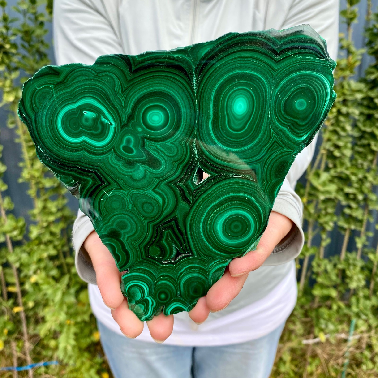 1.41LB Natural malachite slice quartz crystal luster mineral specimen