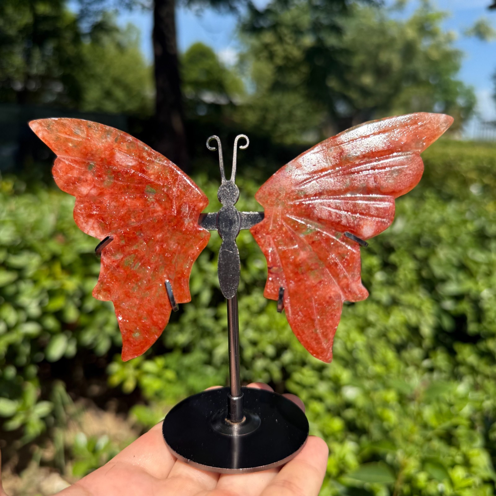 5.2” A pair Natural red gum flower Butterfly Wing Reiki Crystal Skull Decor
