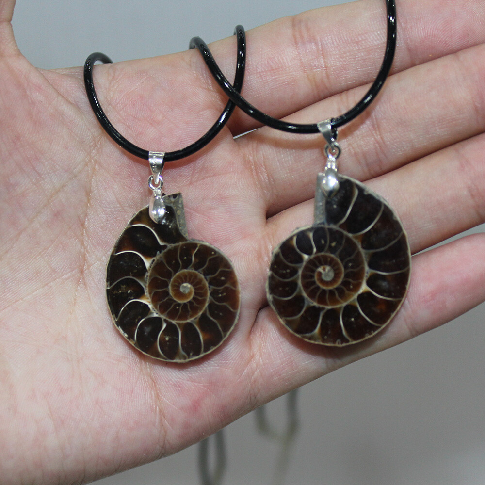 100% Natural Polished Ammonite Fossil Pendant Leather Choker Conch Necklace