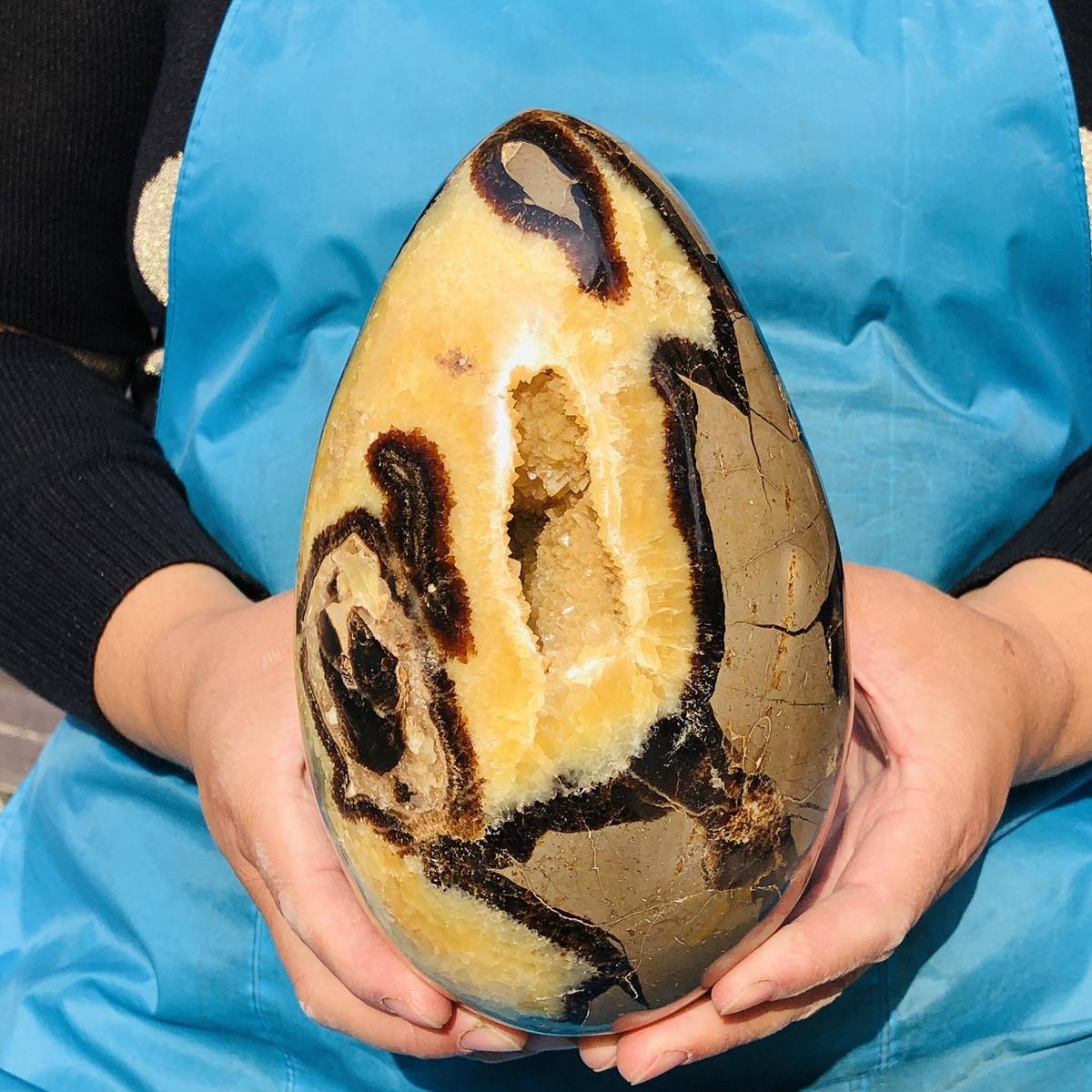 7.28LB Natural Turtle Back Stone Egg Shape Dragon Crystal Crack Healing
