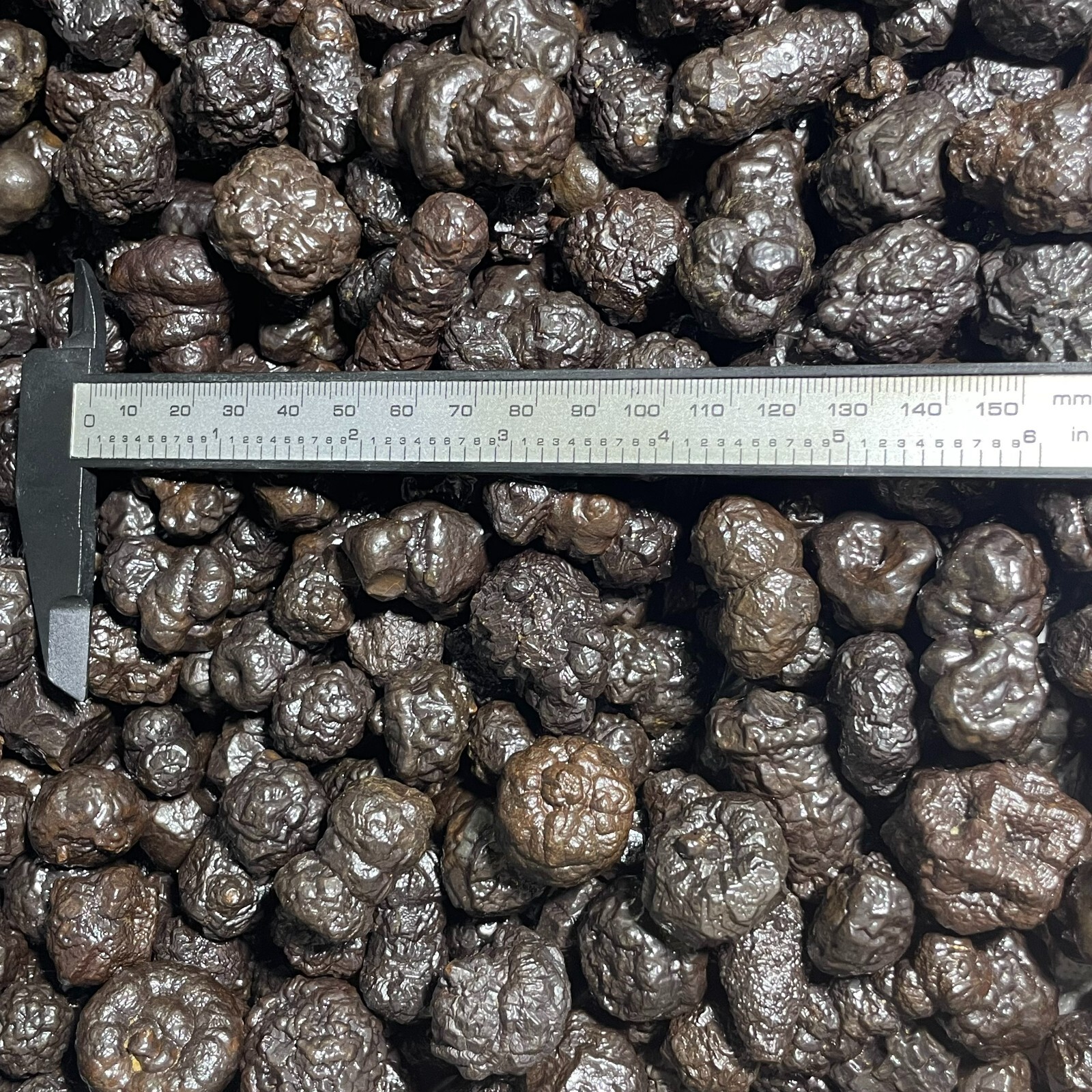 100g wholesale Limonite & Hematite pseudomorph after Marcasite – Prophecy Stone