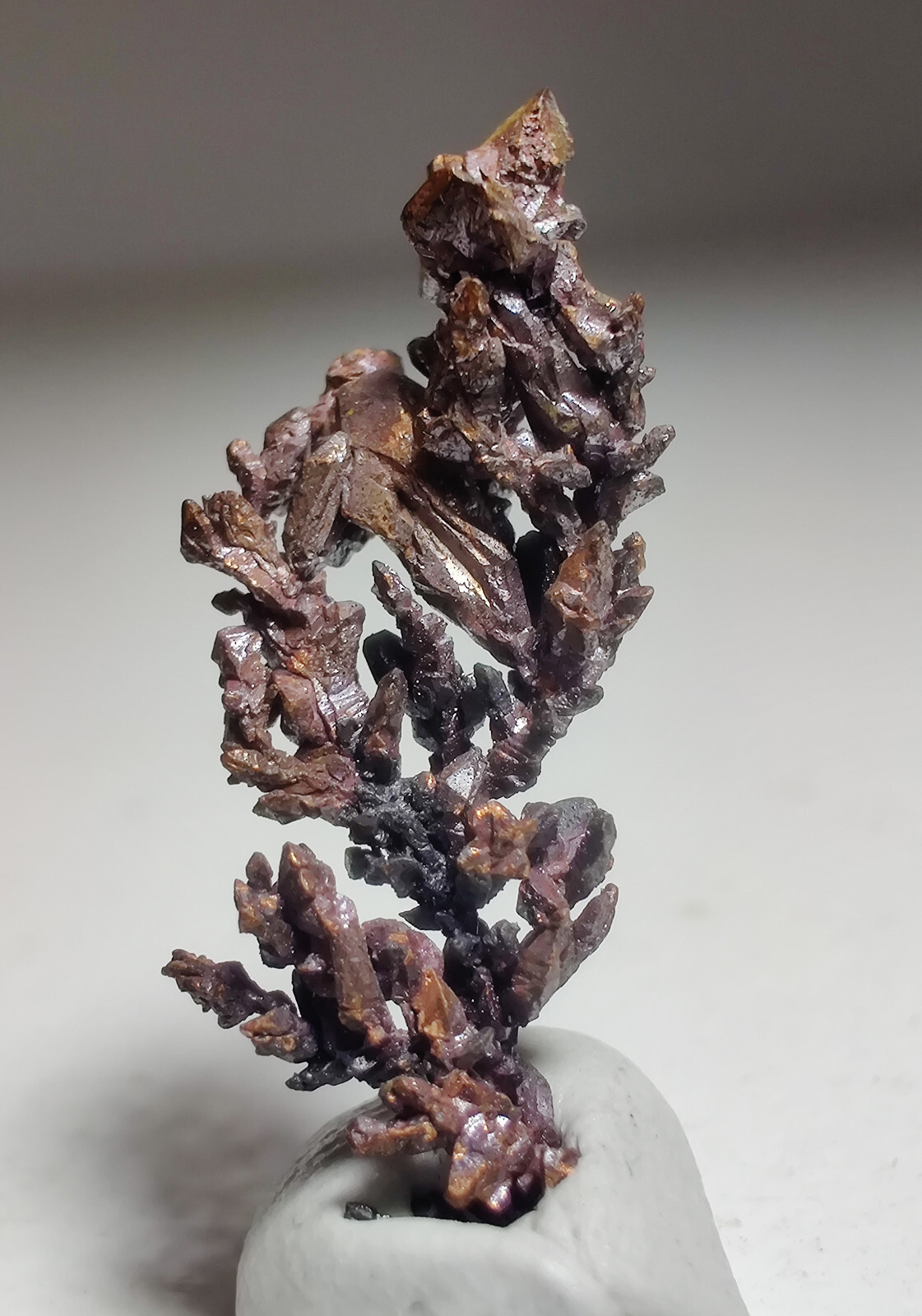 Copper crystals, lovely aborescent form. Itauz Mine, Kazakhstan. 2.5 cm.
