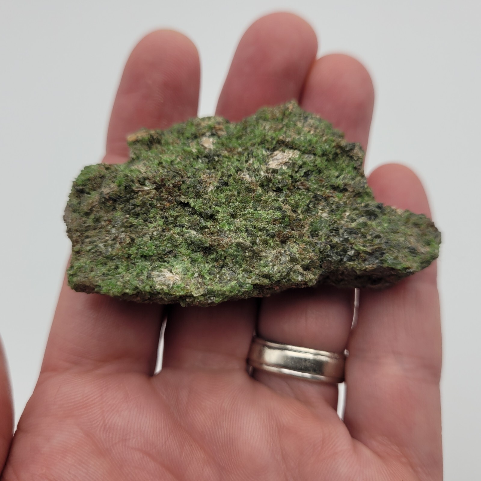 Chrome Diopside with Phlogopite Mica 58g 6.5cm Mineral Specimen Quebec Canada