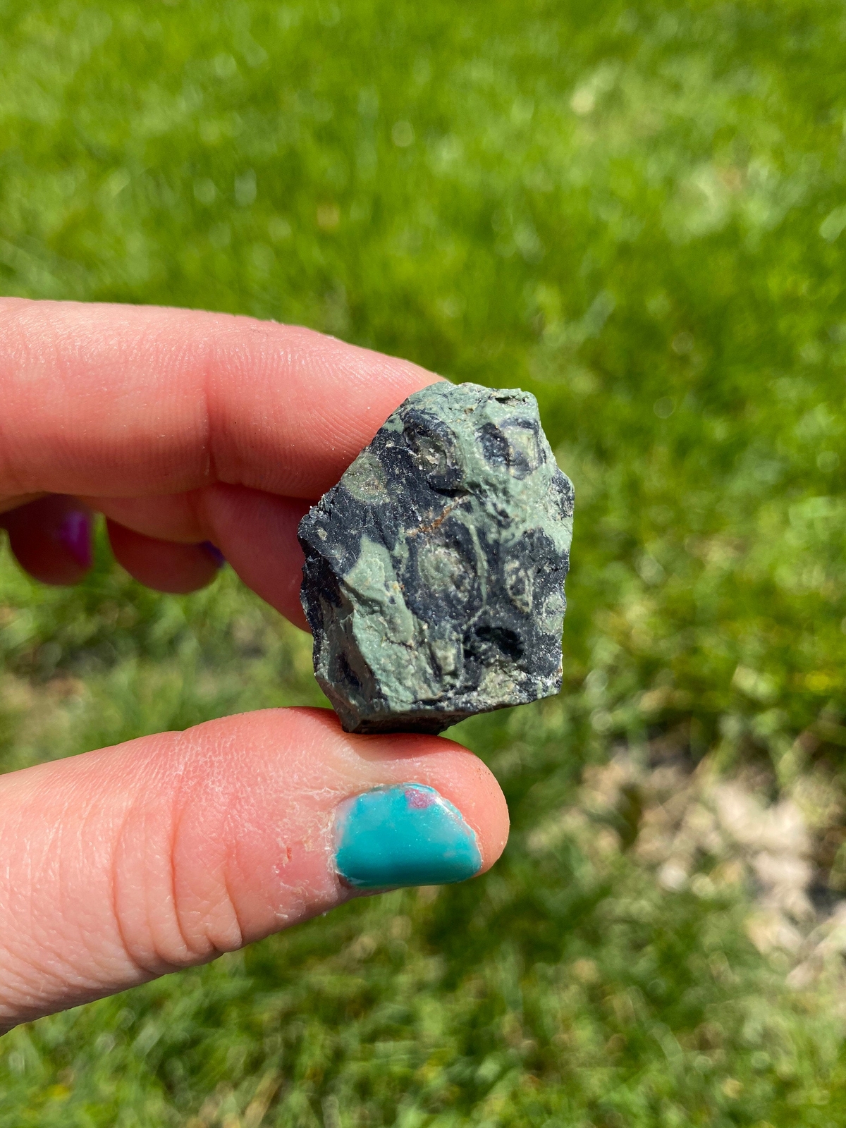 Raw Kambaba Jasper Stone (1″ – 2″) Natural Kambaba Jasper Stone from Madagascar