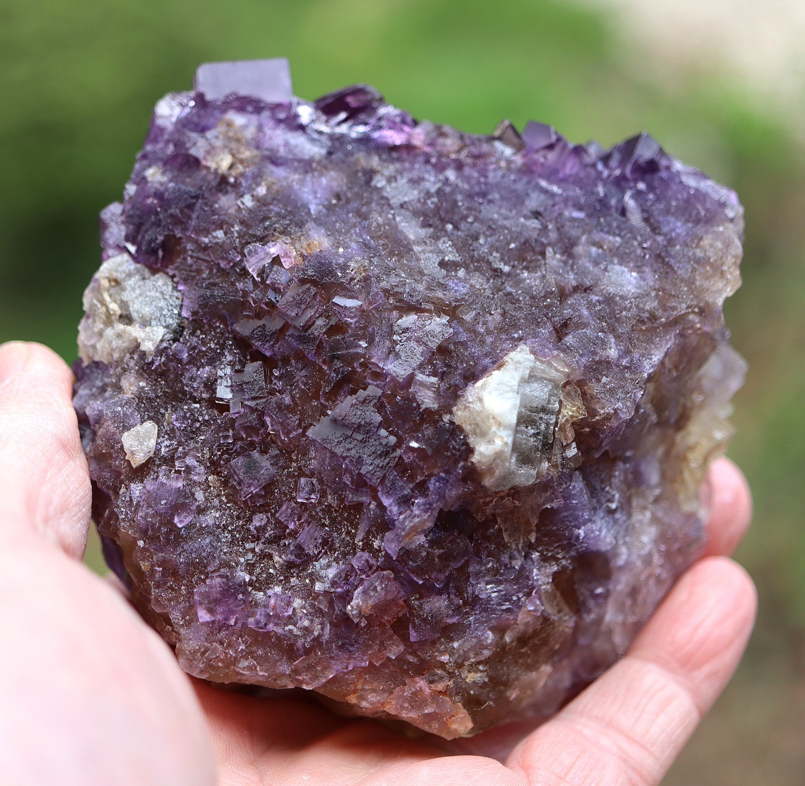 Excellent Fluorite. Cave in Rock, Illinois USA 4.25 inch across