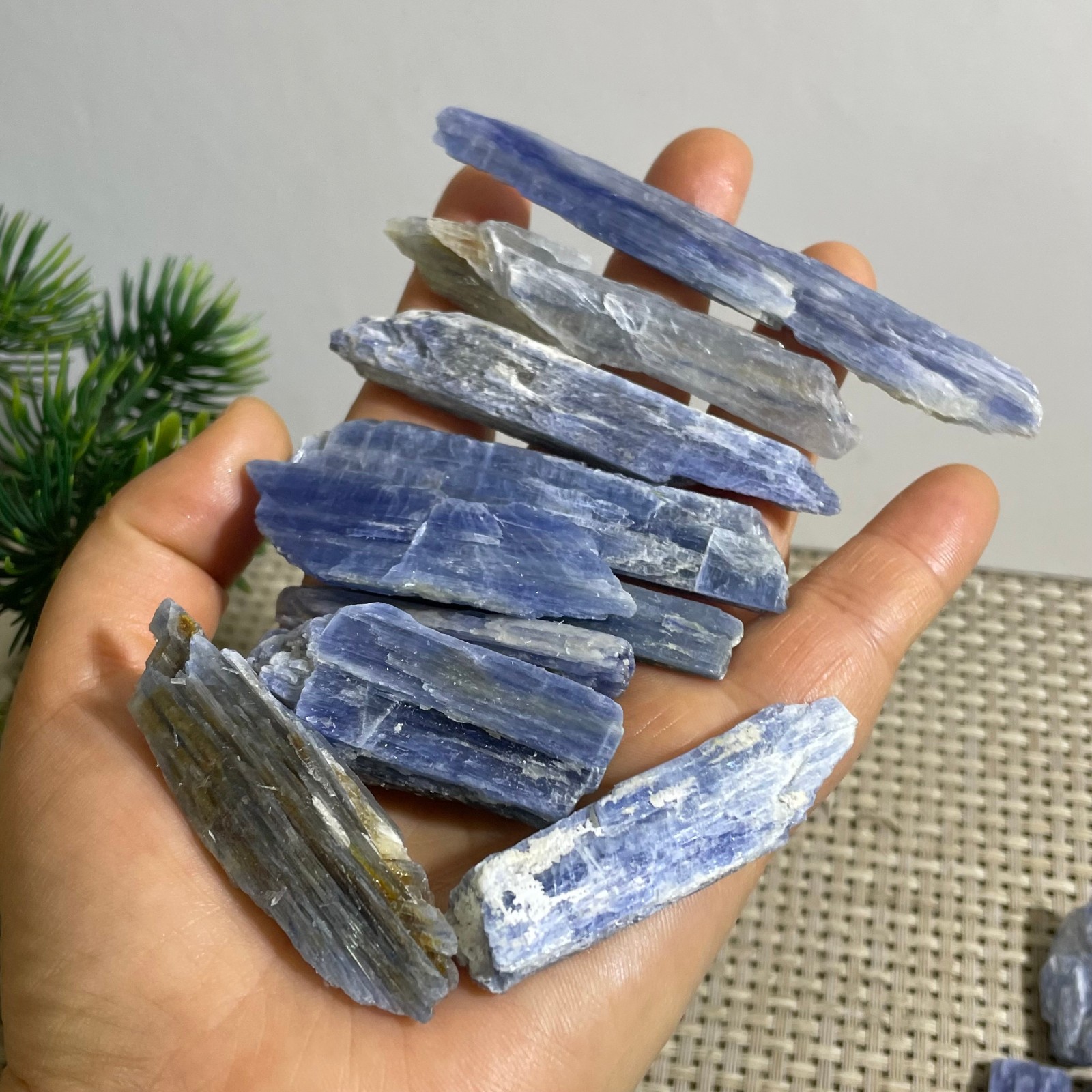 118g Rare!! beautiful Blue KYANITE with Quartz Crystal Specimen Rough 10pcs