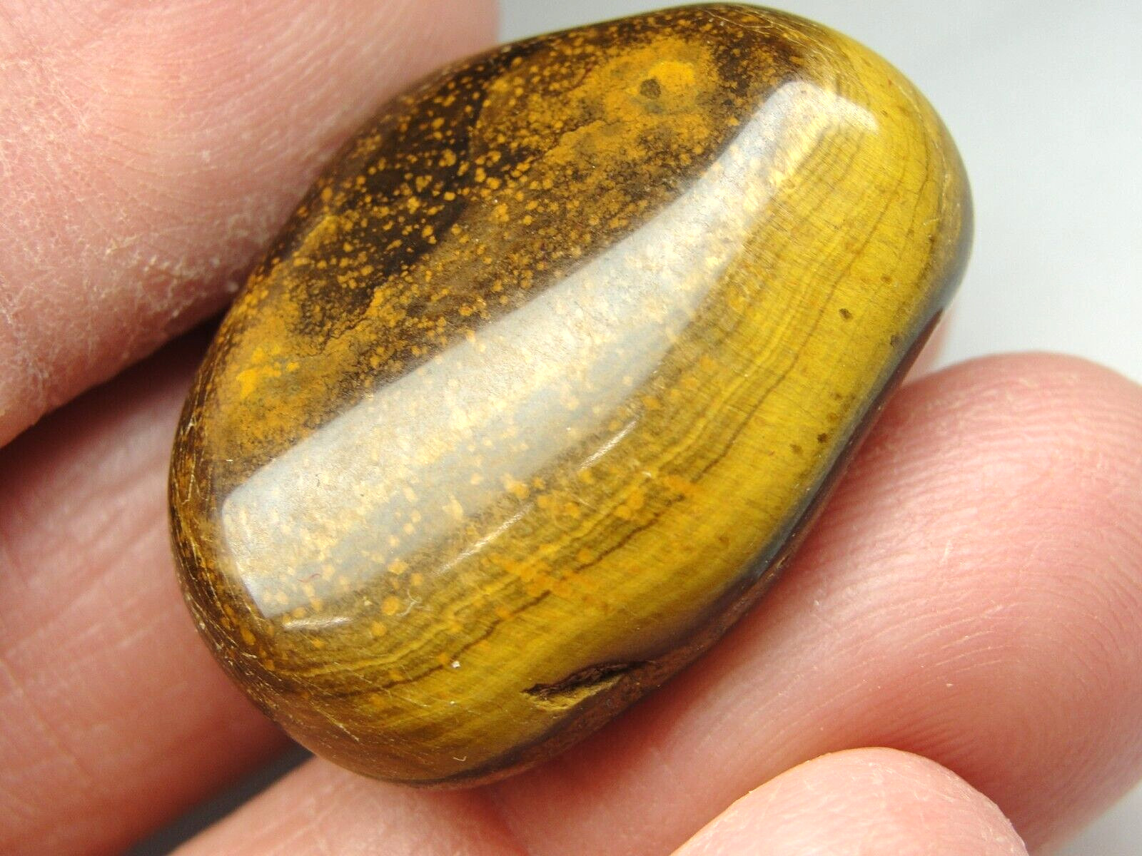 GOLD TIGER EYE – SOUTH AFRICA – HIGH POLISH – M-4583 – 13.89g EXCELLENT DETAILS