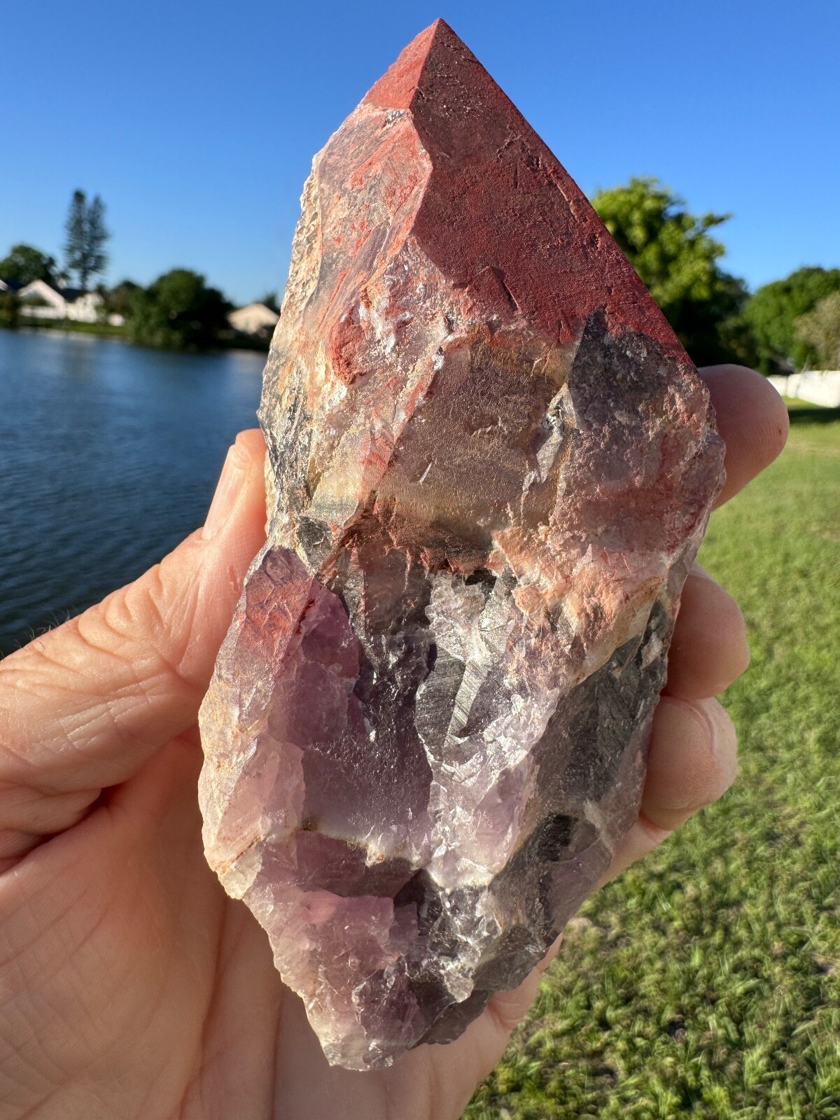 Large Fresh Auralite 23 Crystal Red Cap from Canada 452 grams 5.5″