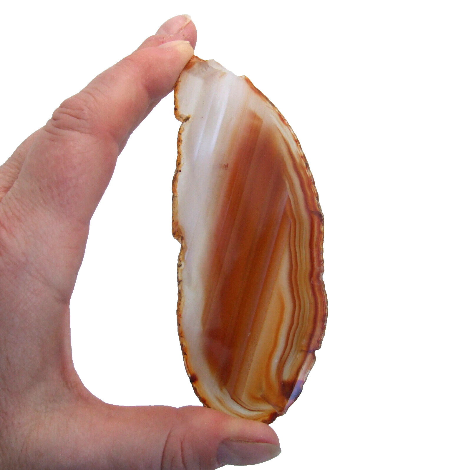 Natural Orange Agate Slice Polished Banded Geode Slice 11.5cm x 4.5cm