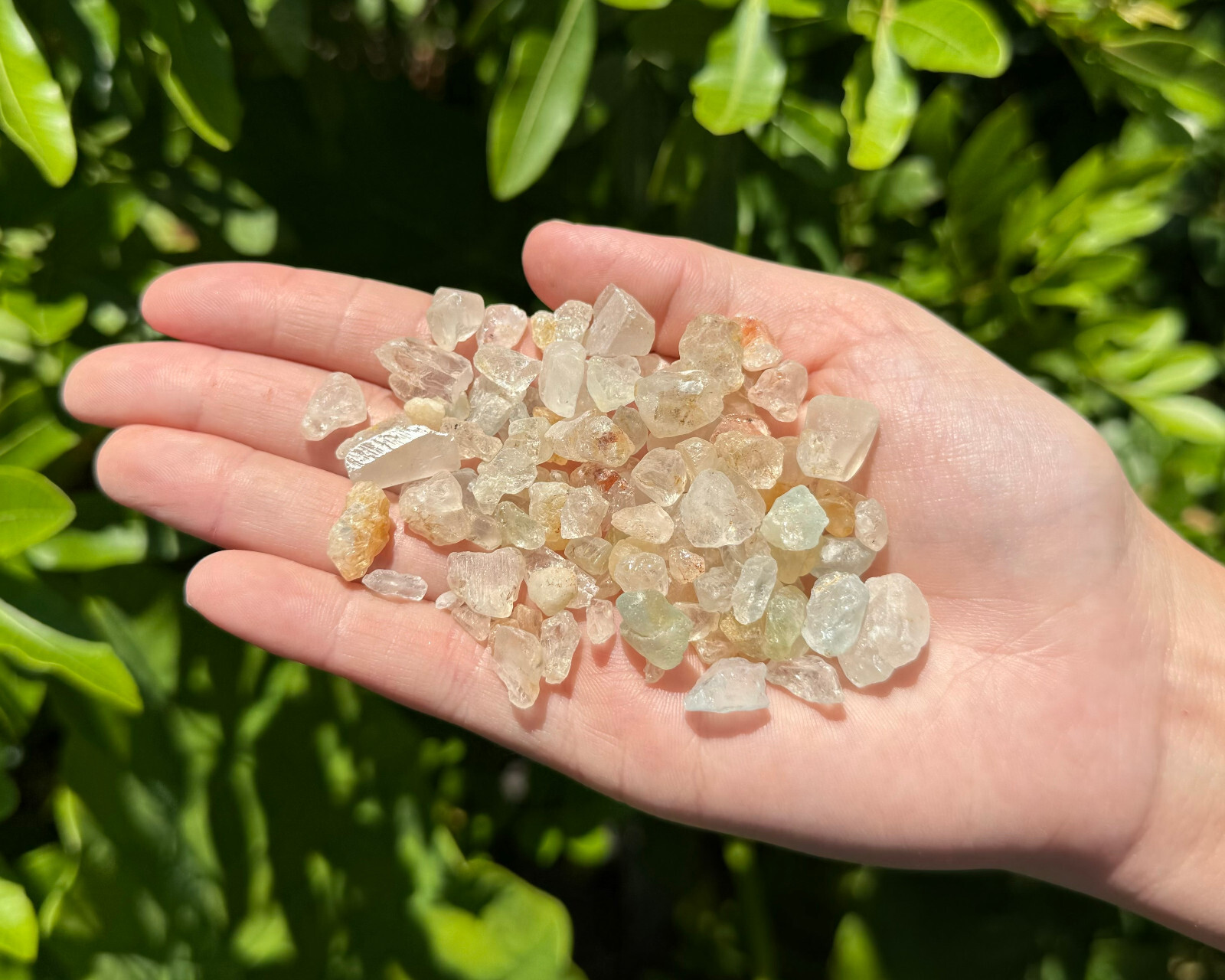 Natural Topaz Chips Crystal Collection 1/2 lb Box Lot (Rough Topaz, 8 oz)