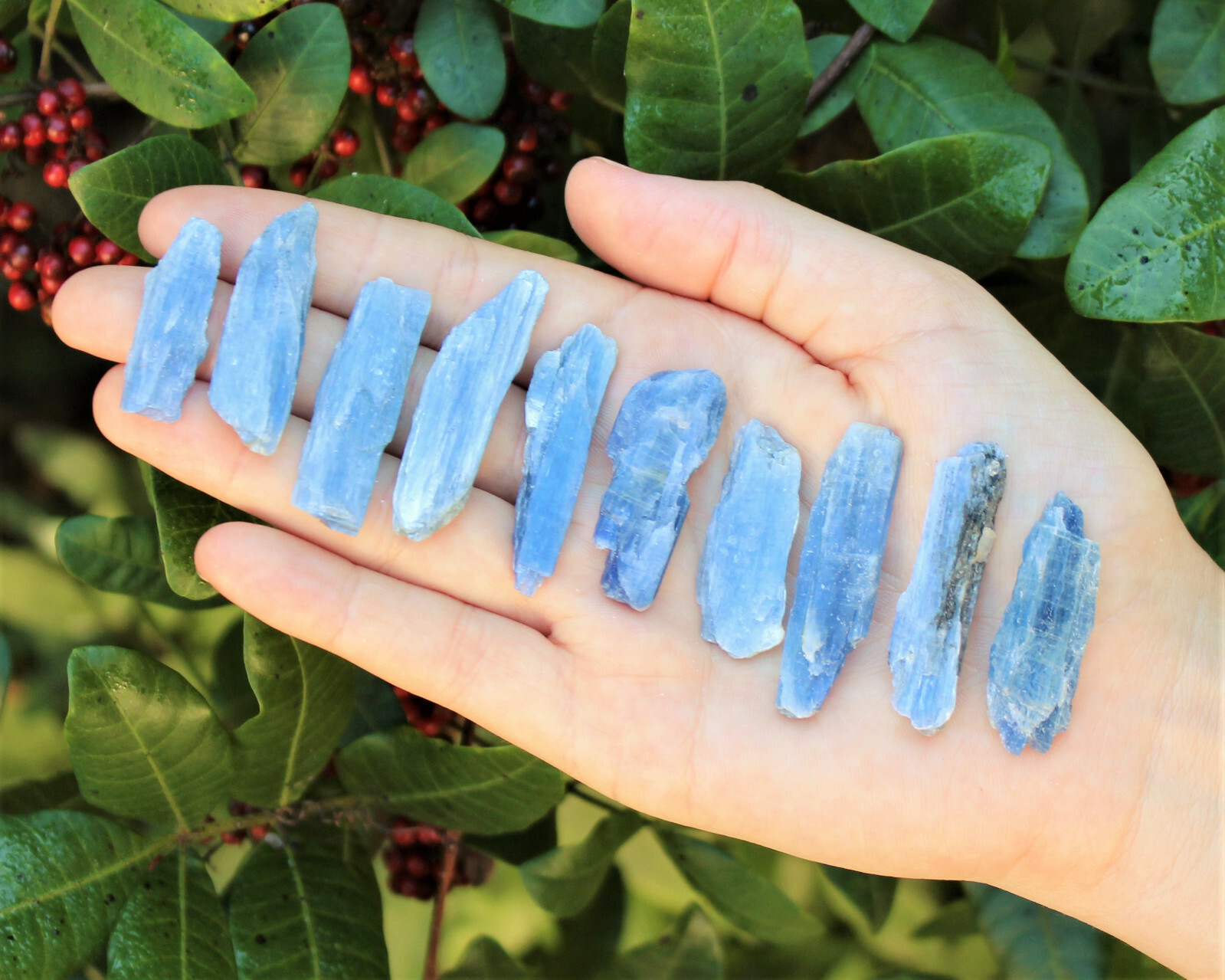 Lot of 3 Blue Kyanite Blades 1″ – 1.5″ (Crystal Rough Natural)