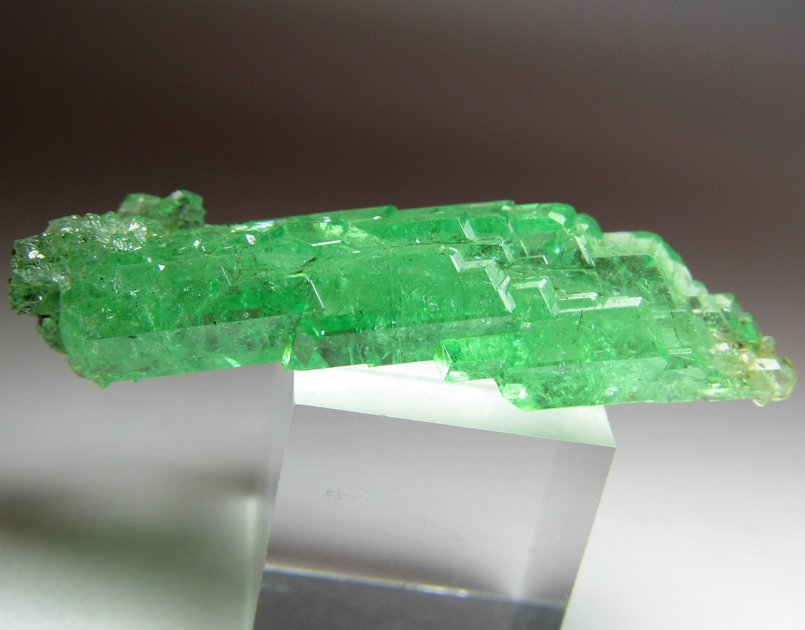 UNSURPASSED ELITE LIGHTNING BOLT TSAVORITE GROSSULAR GARNET CRYSTAL!!! TANZANIA