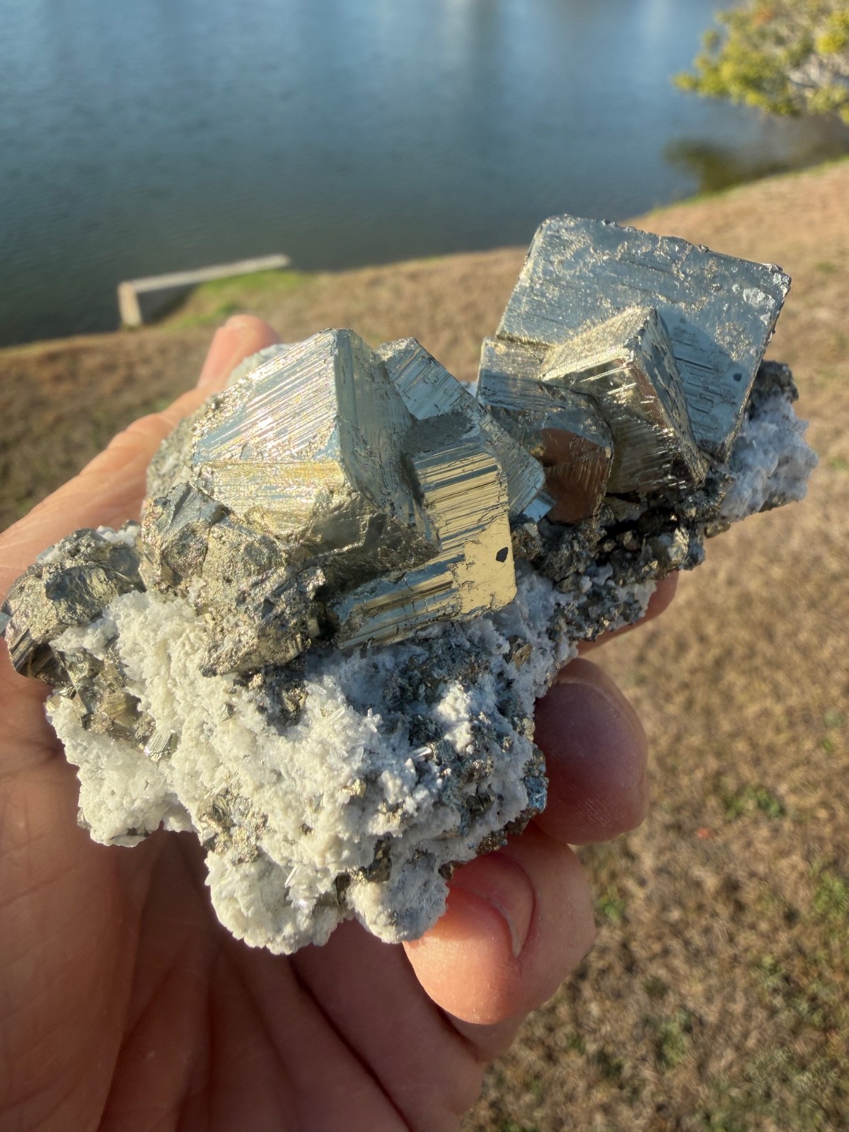 AAA PYRITE Crystal CUBE Cluster Huanzala Mine Peru 346gr 4″+ wide