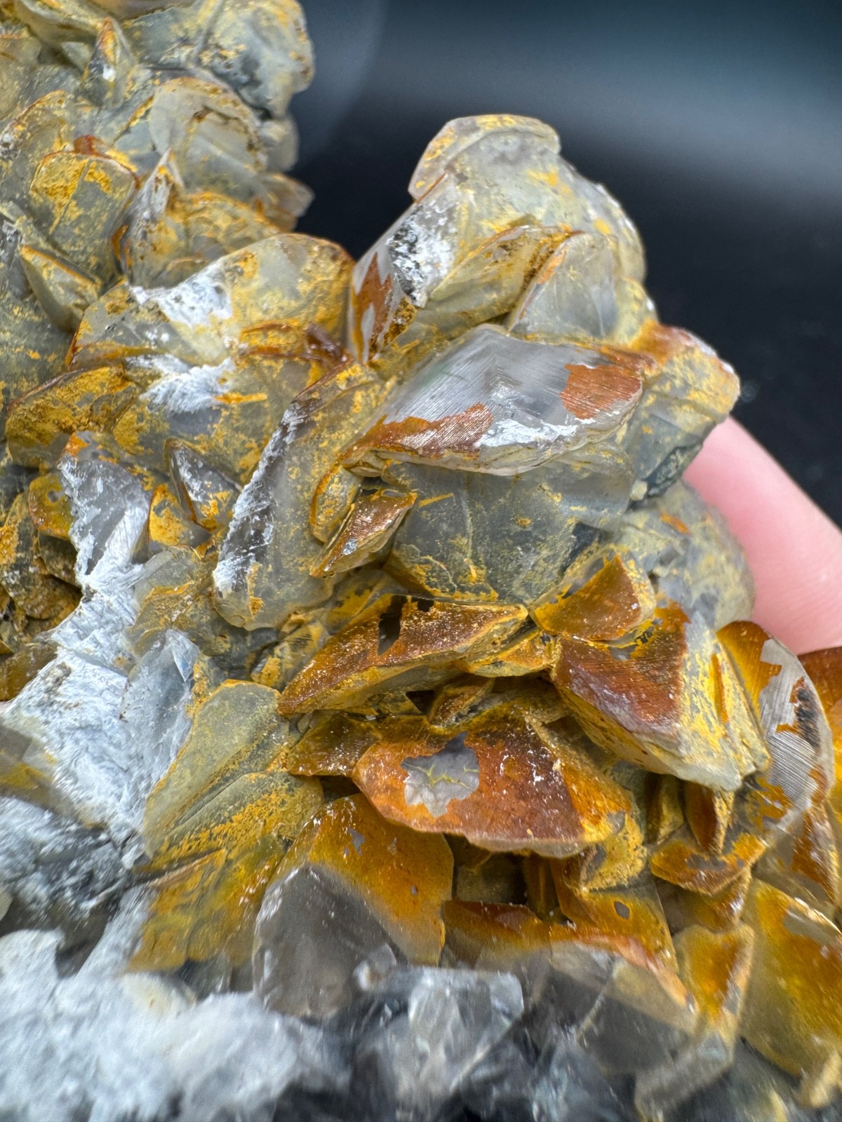 6642 Double Sided Shell Calcite Formation Fu Jian 175g