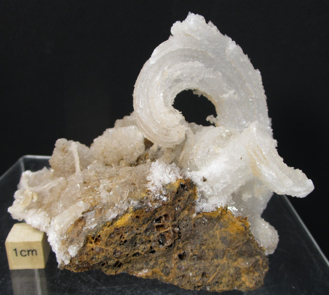 Awsome Frozen Wave Ram’s Horn Selenite Display Specimen Morocco